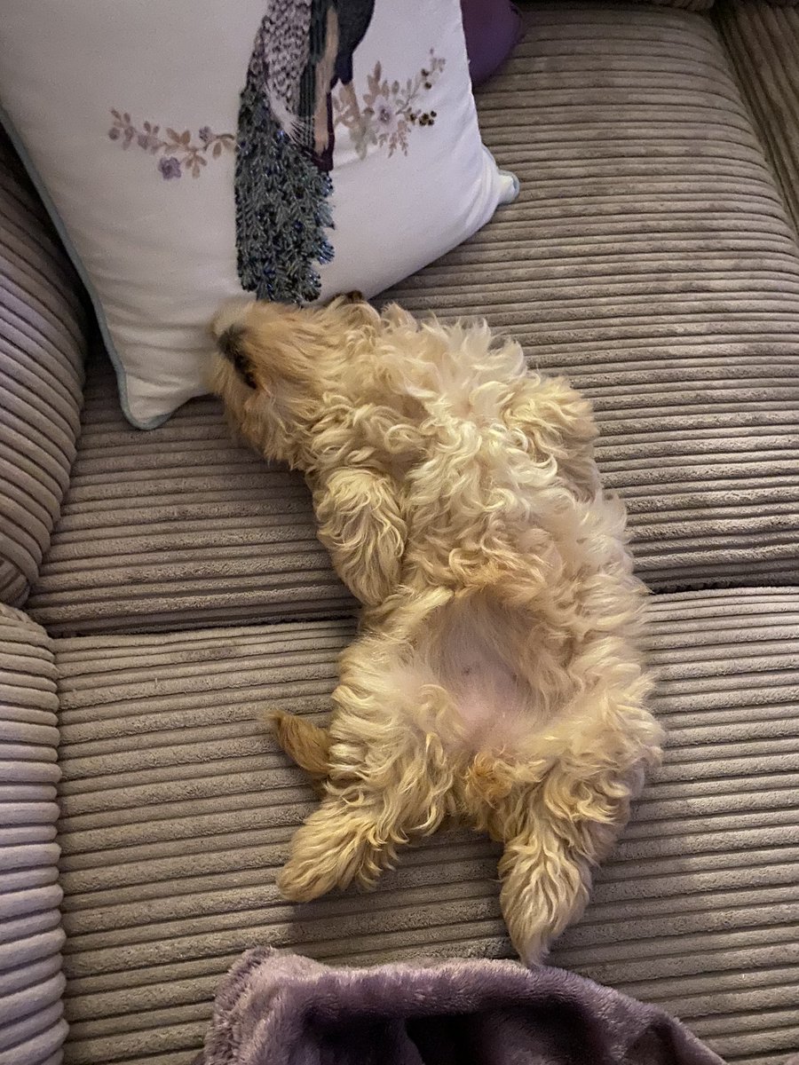 HannahMay1309's tweet photo. @Dawn_French 🤭 loves showing off her tummy! https://t.co/NV7ce2lGP5