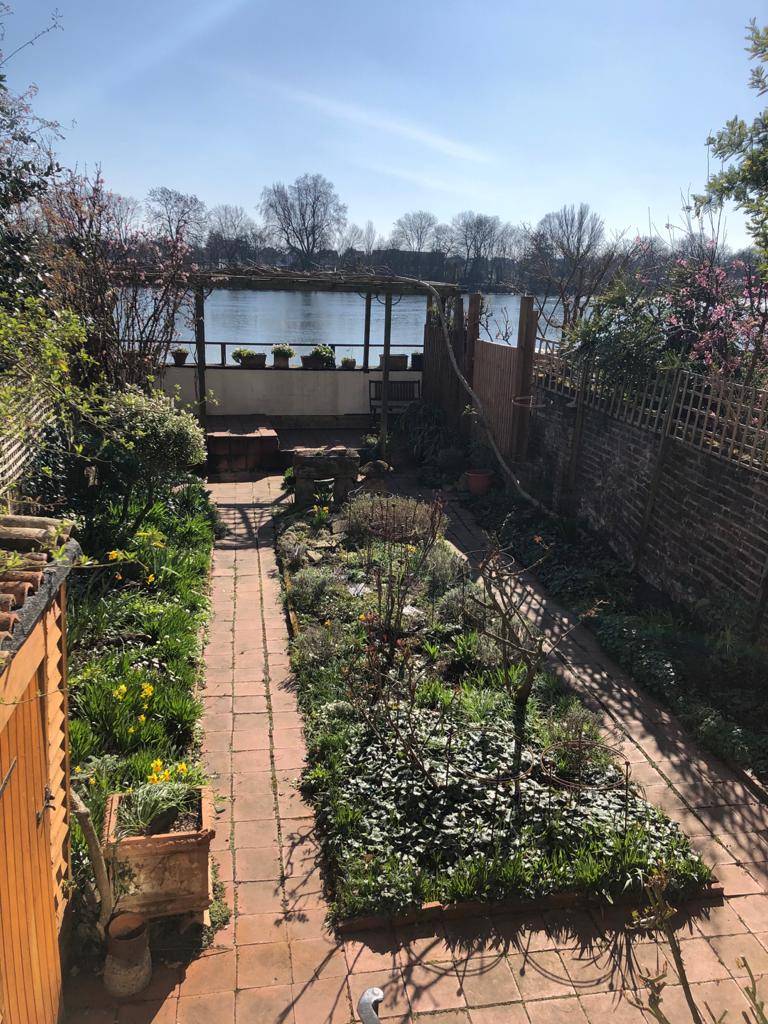 EmeryWalker_org's tweet photo. Some shots of our #garden to brighten up your Friday morning!
#Spring #Gardens #Gardening #Flowers #Daffodils #Blooms #Hammersmith #Riverside #ThamesGardens #HammersmithTerrace #MoodBoosting https://t.co/Fr7LQSURie