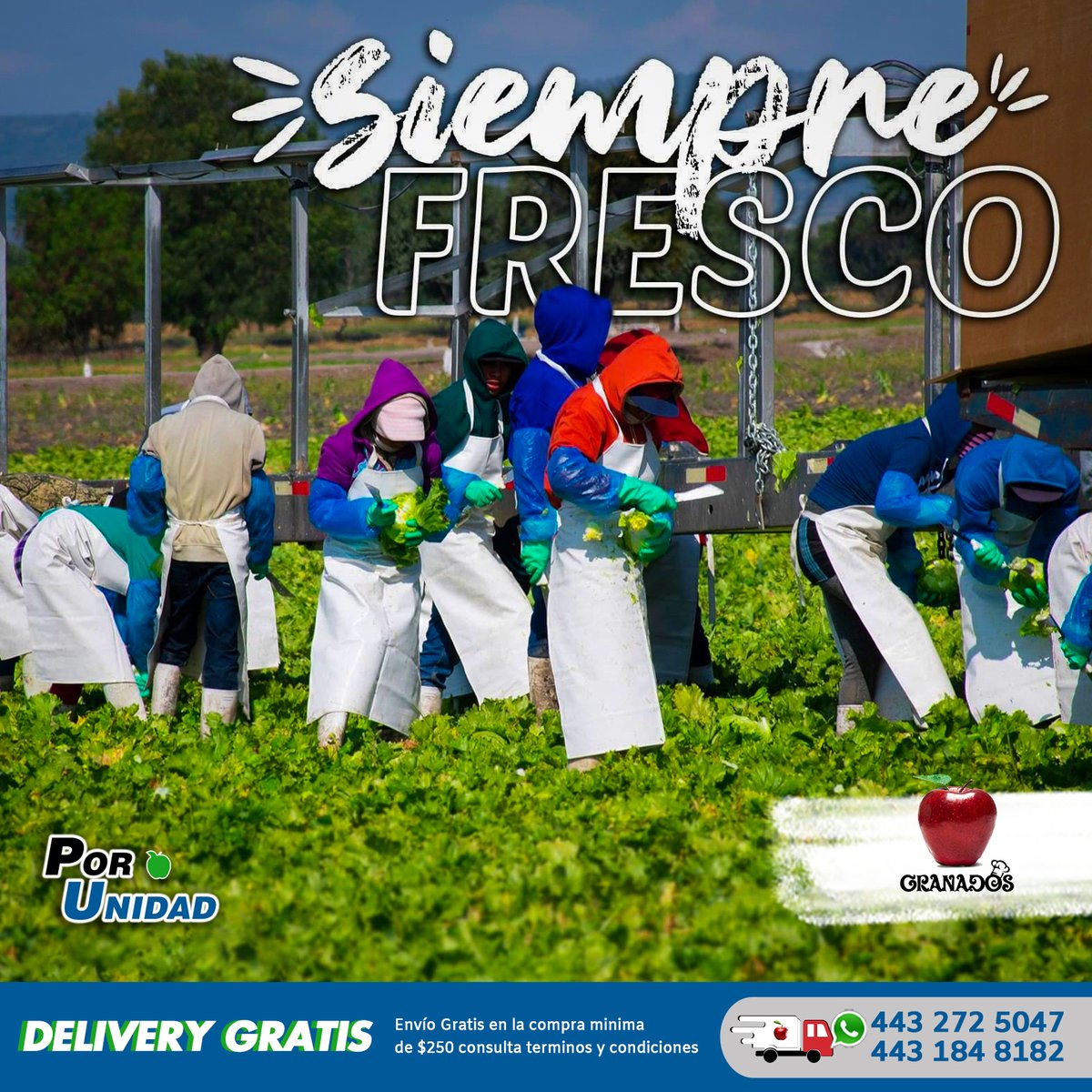 ¡Buenos días frutilover!

Recuerda que en Distribuidora Granados contamos con servicio de delivery, haz tu lista y mándanos un mensaje de whatsapp haciendo clic aquí wa.me/524432725047

#DistribuidoraGranados