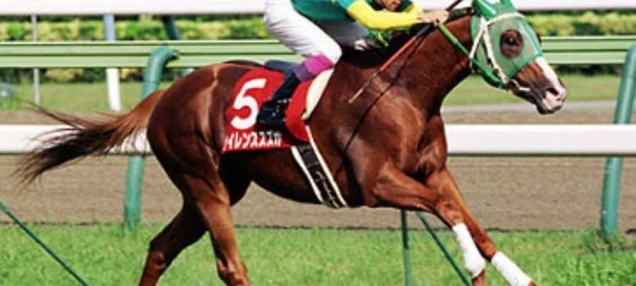 まかいむら サイレンススズカ 本物 これからって時に予後不良で亡くなってしまった悲劇の逃げ馬 あの逃げ足は見たら忘れらんないよな ウマ娘 T Co Qqlbsadmmq Twitter