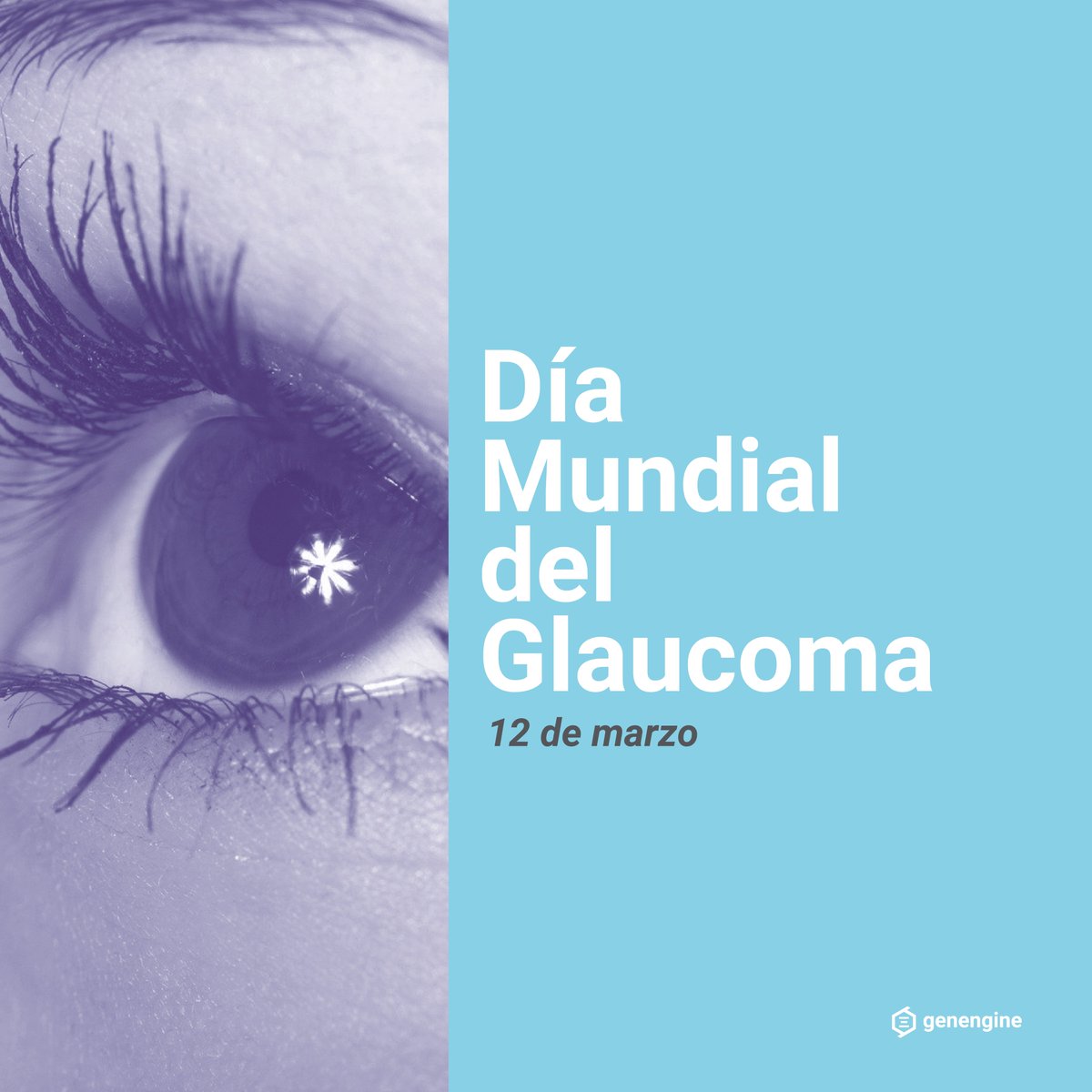 genengine tweet media