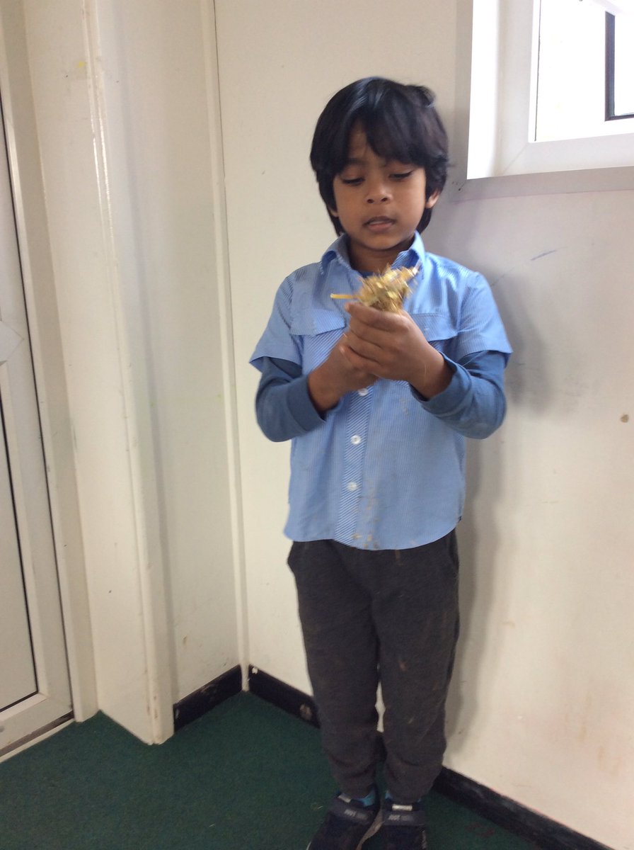 SelworthySchool's tweet image. Oakhill learners are ready for our Country Fayre WOW event this afternoon! #oakhill