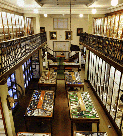 Find out more about Wisbech and Fenland Museum: it may surprise you!

thelocalview.co.uk/wisbech-and-fe…

<a href="/wisbechmuseum/">Wisbech Museum</a> 
<a href="/twodrones/">TwoDrones</a>