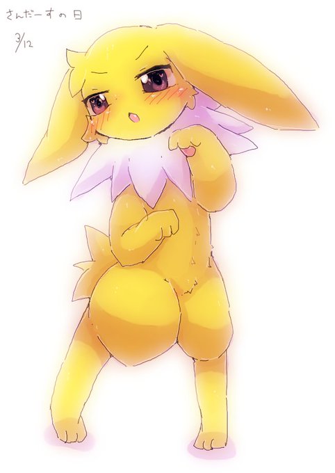 #サンダースの日 