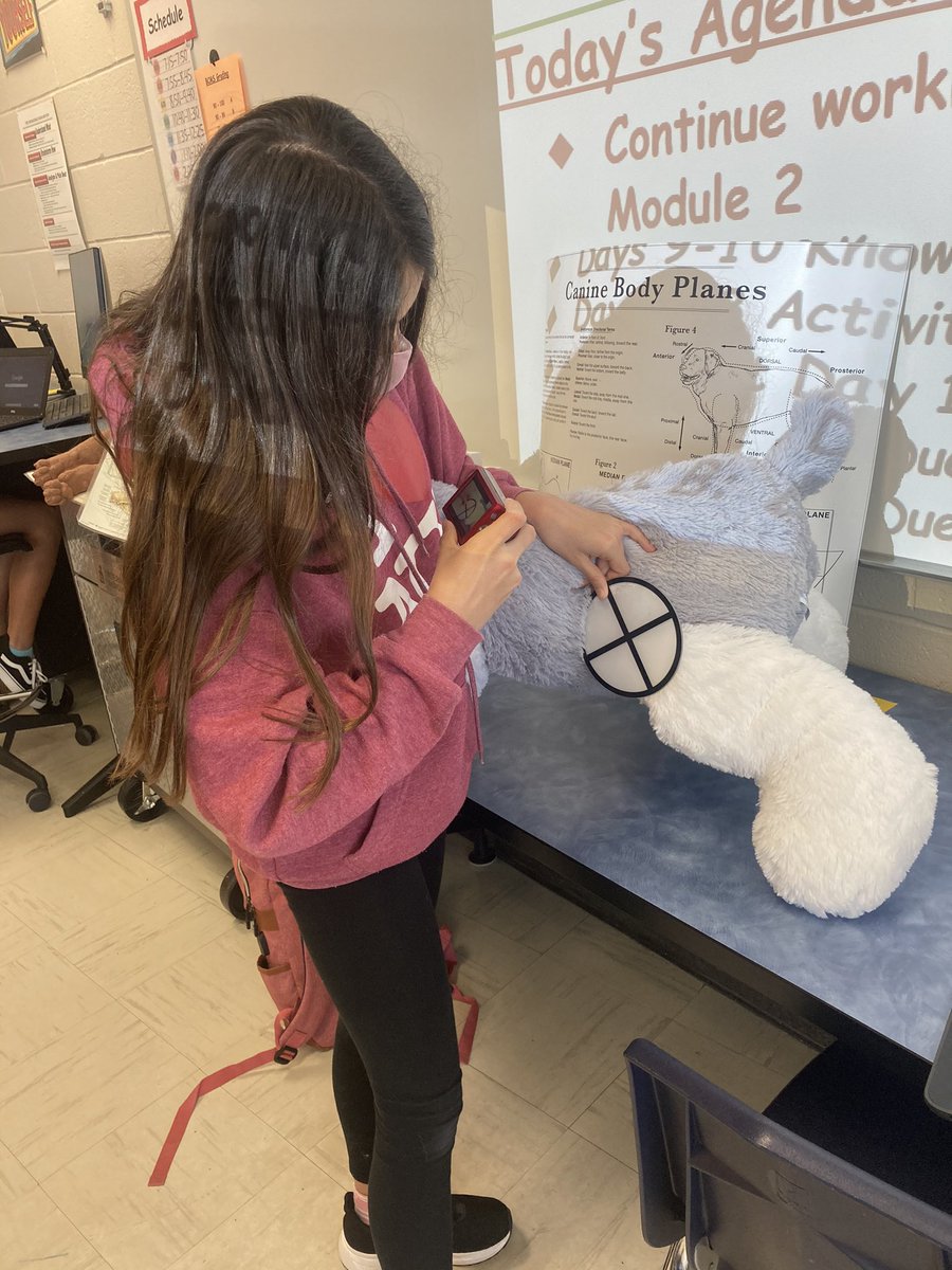 RebaALewis's tweet image. We are offering “tag outs” @TheCreekBCMS so teachers can see other classes. While they observe I get to see the amazing learning in their classes! I LOVE when I can step into @LauraBischoff89’s @CTEforNC classes! Scrambled eggs and pet x-rays to enjoy this time. #shinethelight