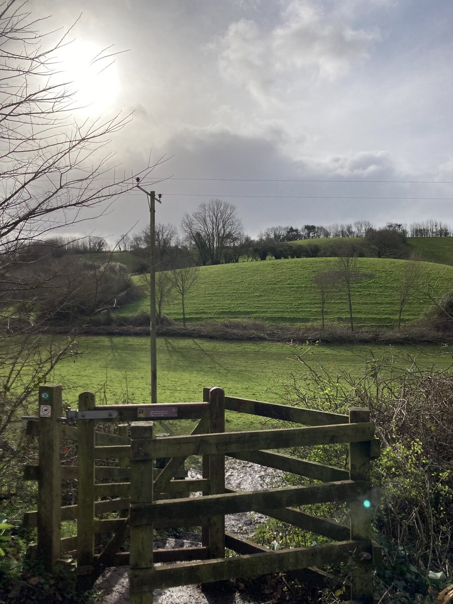 Chris Tidman tweet media