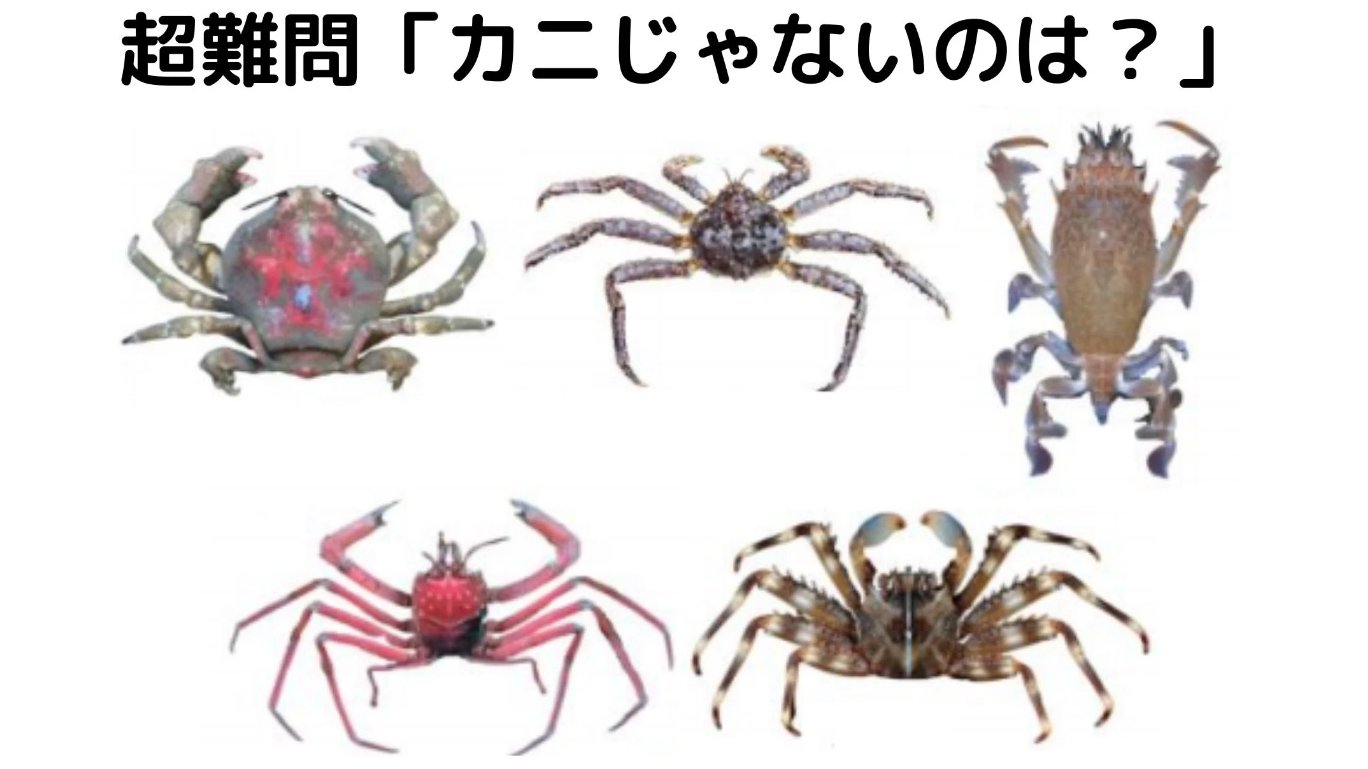 牡蠣雑炊 Kakizousui Twitter