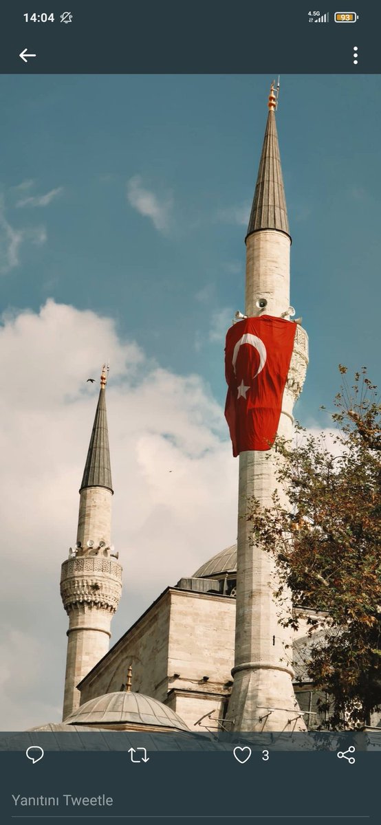 Ruhumun senden İlahî, şudur ancak emeli:
Değmesin mabedimin göğsüne namahrem eli.
Bu ezanlar ki şehadetleri dinin temeli,
Ebedi yurdumun üstünde benim inlemeli.
#istiklalmarsı100yasında