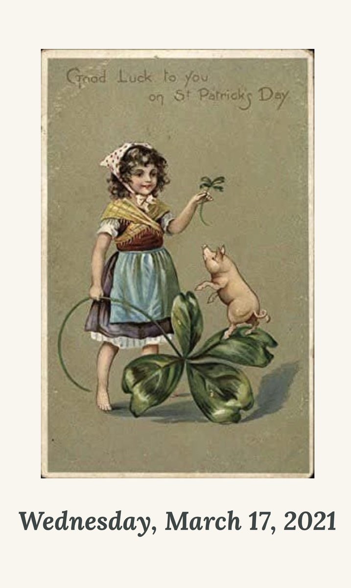 Bondir Cambridge tweet media