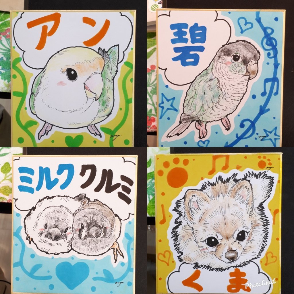 mayuinu840's tweet photo. 人気の「かいぬしー」デザインにこのたびセキセイインコ版が新たに仲間入りしました。高槻阪急4階「#ことりフェスタ」にて各種グッズ取り扱い中です。明日からの土曜日曜も引き続き、笑顔で楽しく勢いよく頑張ります！ #セキセイインコ https://t.co/mPZzirJ5yA