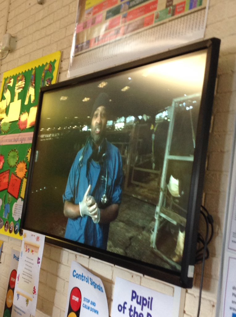 AshurstPrimary's tweet image. Year 5 are enjoying their live lesson at the VET school. They are learning a lot about how to look after cows. @NFUEducation #BritishScienceWeek2021
