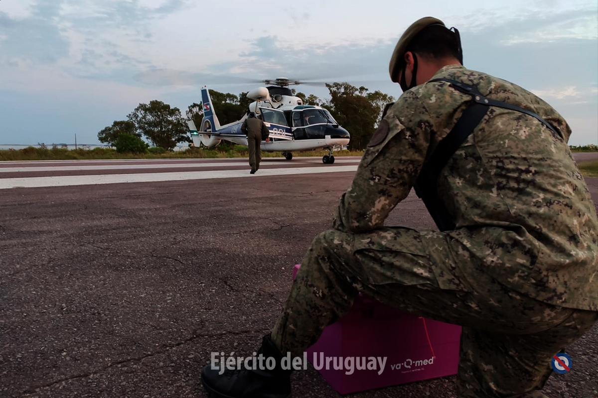 EJÉRCITO DE URUGUAY - Página 34 EwRnhCbW8AAmv_U?format=jpg&name=medium