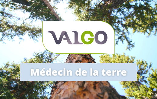 VALGO, avec son modèle unique de réhabilitation des friches industrielles, la "#VALGOrisation",  intègre l'#EconomieCirculaire dans ses défis quotidiens en recyclant les déchets issus de la décontamination de site 👇
 
bit.ly/3imb9Jp

#GestionDesDechets #Environnement