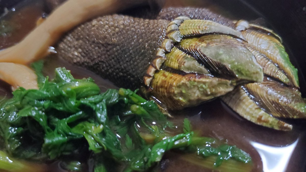 M S おいしいもの 徒然日記 亀の手のお味噌汁 Miso Soup With Turtle S Hands 亀の手って実はお出汁がよく出る甲殻類なんです 旨味たっぷり 色々レシピ紹介中 T Co Sklica0in6 Comfortfood Homemade 料理好きな人と繋がりたい M S おいしいもの 徒然日記 亀の手のお味噌汁 Miso Soup With Turtle S Hands 亀の手って実はお出汁がよく出る甲殻類なんです 旨味たっぷり 色々レシピ紹介中 T Co Sklica0in6 Comfortfood Homemade 料理好きな人と繋がりたい