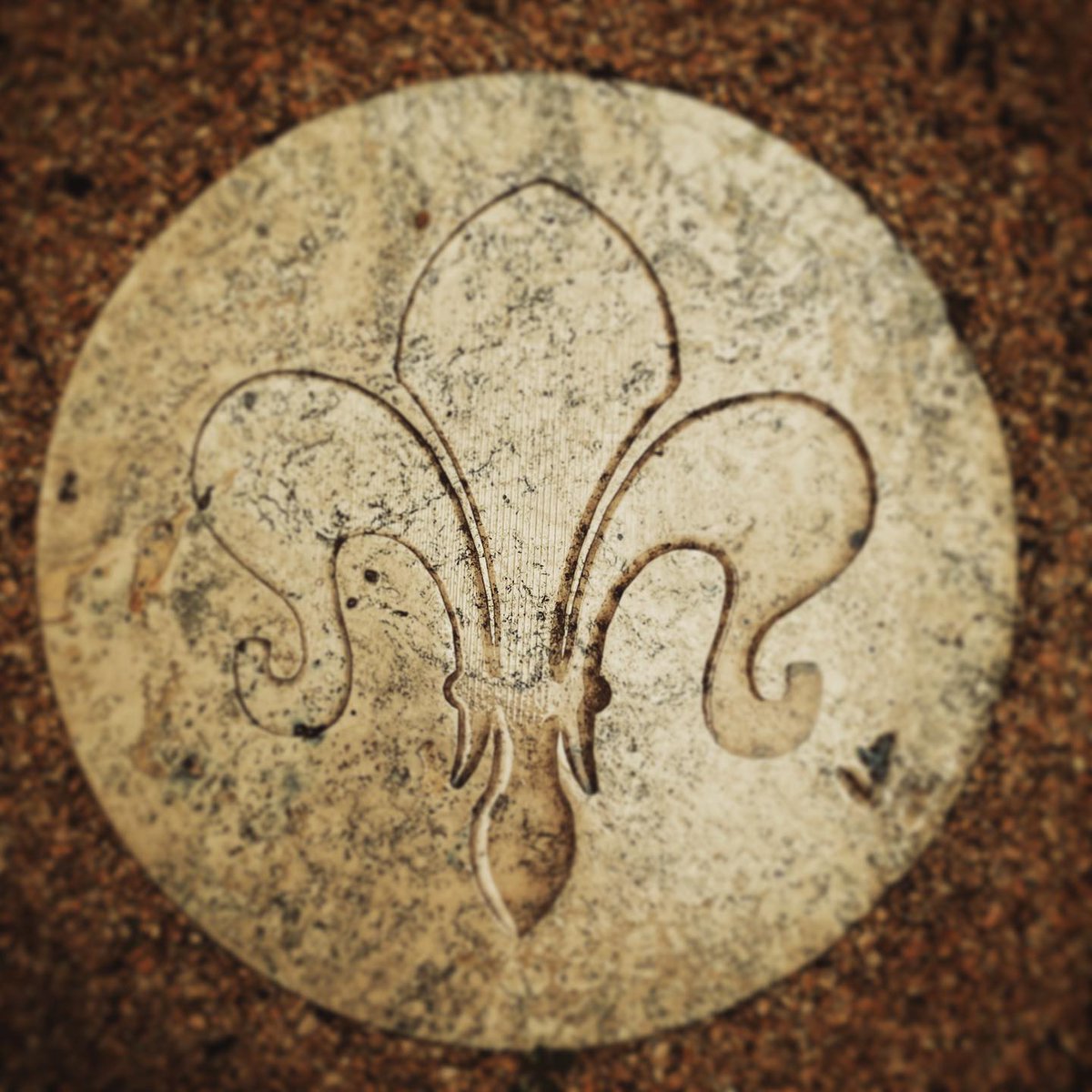 💓 Un simbolo che per noi vuol dire casa, amore, passione ma anche tanti sacrifici.

Da oltre 60 anni i formaggi de #ilfiorino raccontano la nostra storia di #famiglia