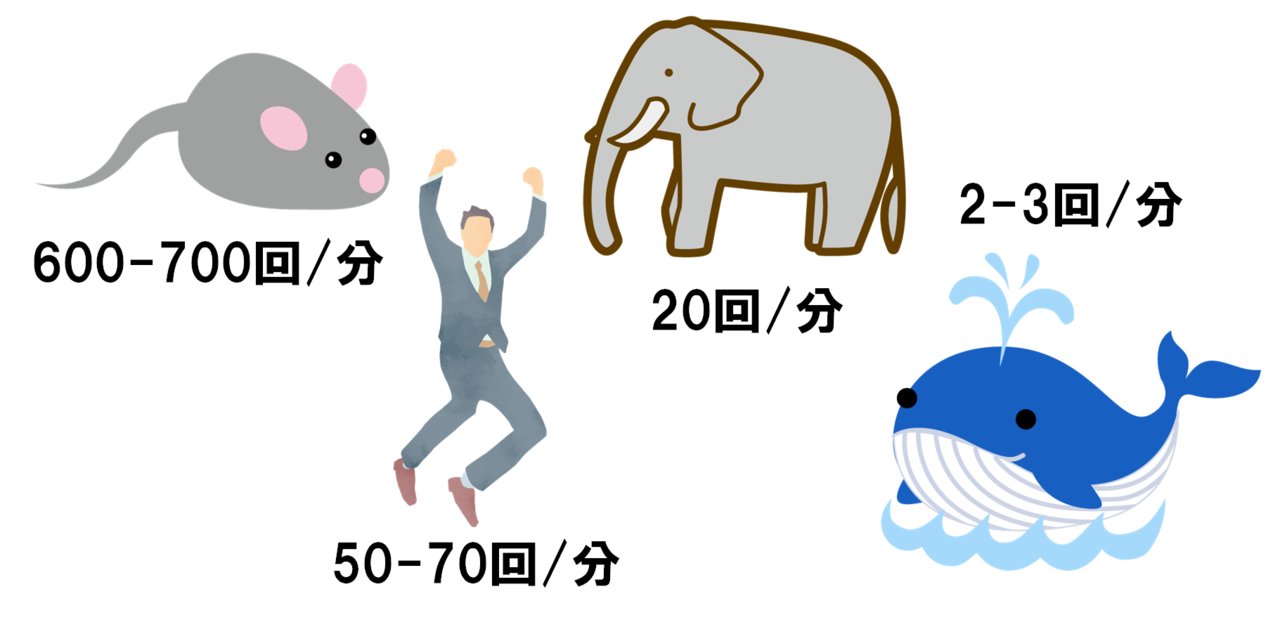 Drぷー 動物の心拍数 ブログ記事用 ハツカネズミ 600 700回 分 ヒト 50 70回 分 ゾウ 回 分 クジラ 2 3回 分 正常安静時です イラストのヒトが安静にしていなry イラストは全てイラストacで無料ダウンロード T Co Fk1jelmozl Twitter