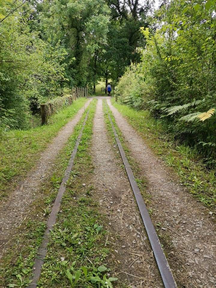 Lugares con encanto de Gipuzkoa.
Vía Verde de Ormaiztegi a Mutiloa.
En plena naturaleza.
✍️📷🎥👇👇
donosticity.org/via-verde-de-o…