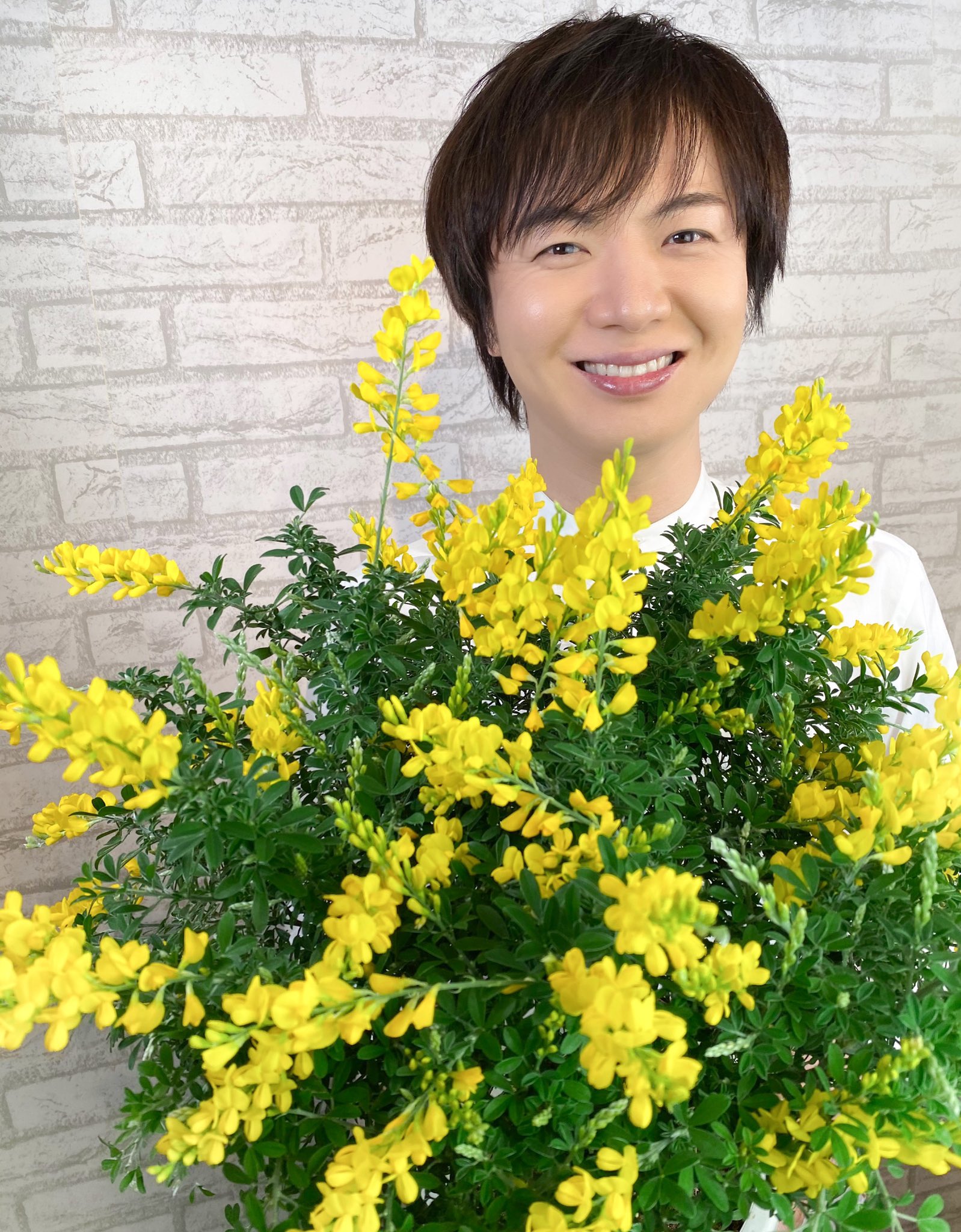 あまりりす Takeshima Staff エニシダは 今日の誕生花なのですね 黄色が とても鮮やかで 華やかですね 竹島さんの笑顔も 華やかで 素敵ですよ 白いシャツが 清楚 で清潔感漂ってますね 花便り有難う 花便り エニシダ ひろネット