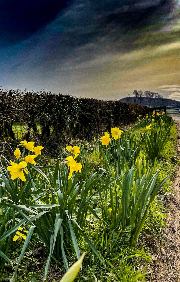 Cotswold spring.