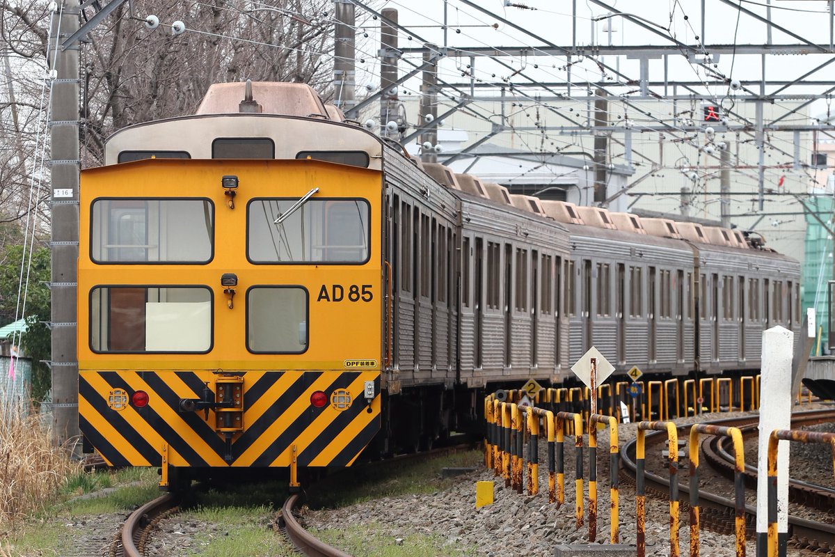 Tokuchan4698606's tweet photo. 2021年3月12日(金)
東急8500系8616F 引退へ
また1本、長年お世話になった電車が帰らぬ旅に赴きました。
8615Fの引退以降、最古参編成として、たくさんの人々の想いを乗せながら、輝いていた勇姿が心の中に残り続けると信じて。
45年間お疲れ様でした。
ありがとう!さようなら!
#東急8500系
#8616F https://t.co/XkTxEMjN6h
