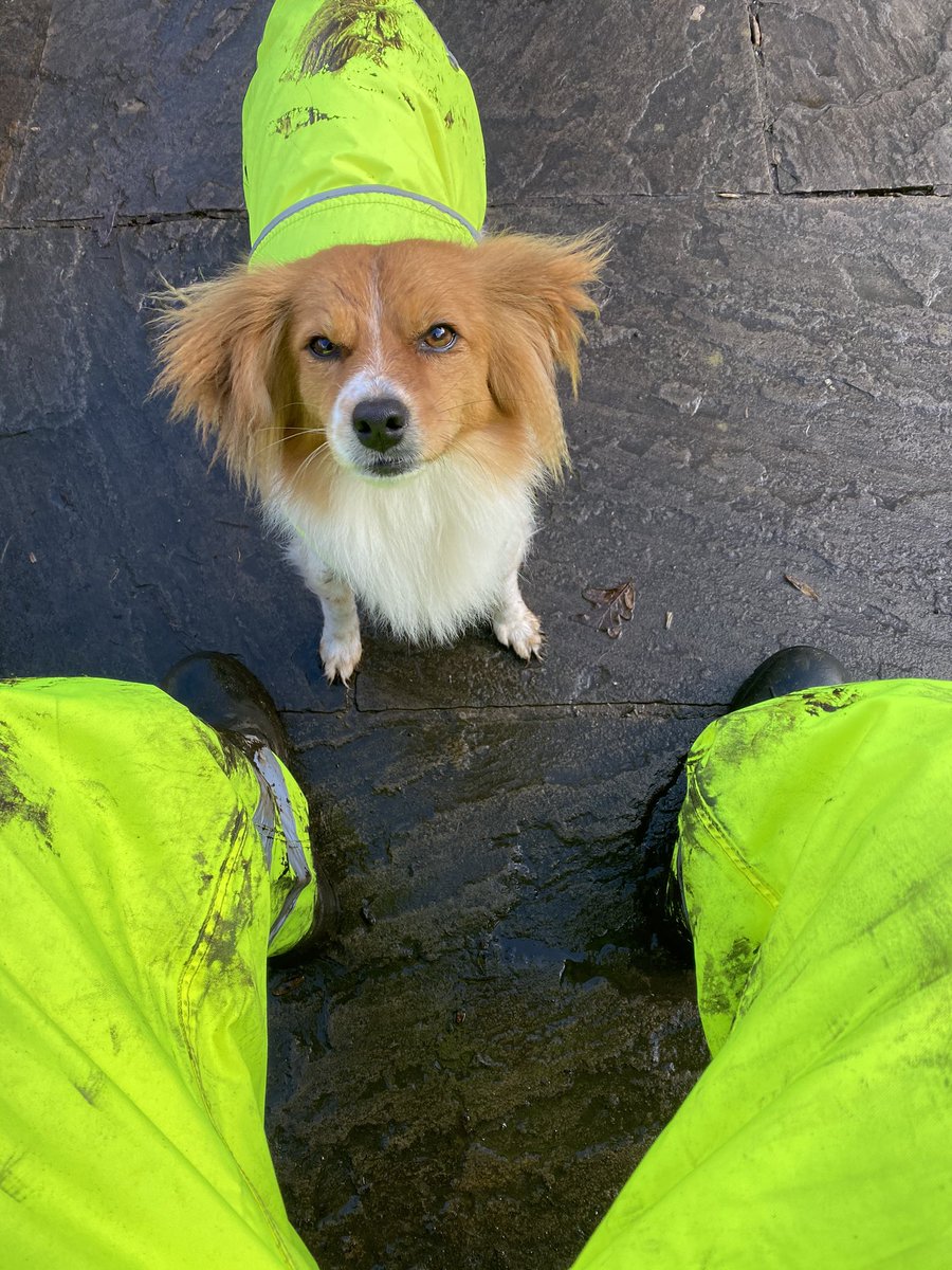 SammmAgnew's tweet photo. Matching w my dog #waterproofdog #dogfashion https://t.co/dXMss7bpG9