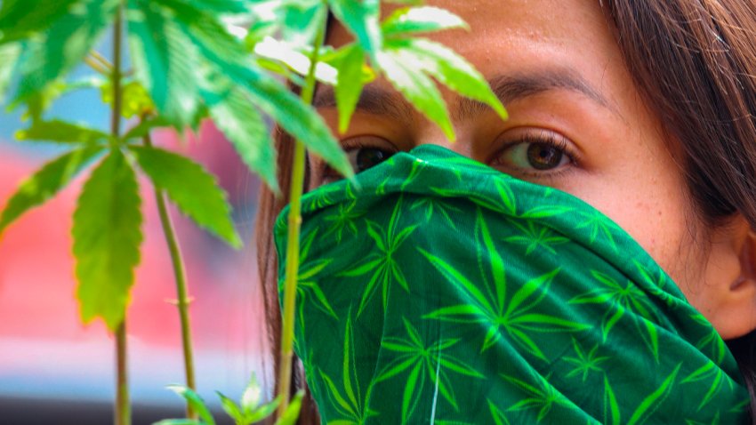masteradiccion's tweet photo. La Cámara de Diputados de México aprueba la ley de consumo lúdico de marihuana

Fuente: https://t.co/kjKjcpuKAd EUROPA PRESS

https://t.co/7Z1kEpuByv

El Primer Máster Universitario Europeo 100% online en Conductas Adictivas. En mayo apertura de pre-matriculación para Curso 2022 https://t.co/7xBFQ7ln8l