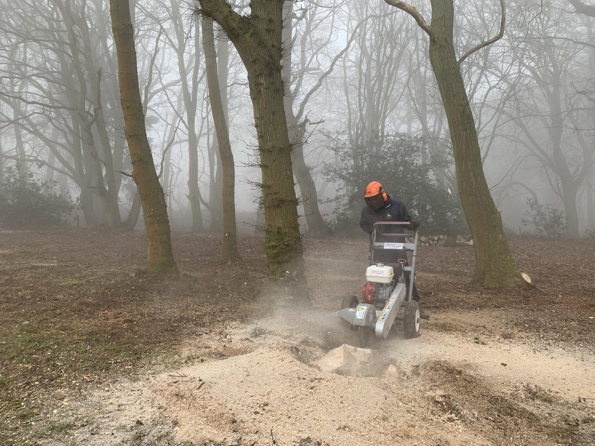 Great two weeks work with the stump grinder, all areas that have been cleared this year and years before are all now clear of stumps. #greenkeeping