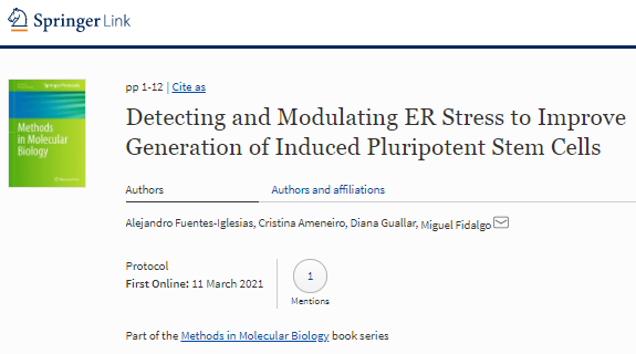 Memoen Group USC tweet media