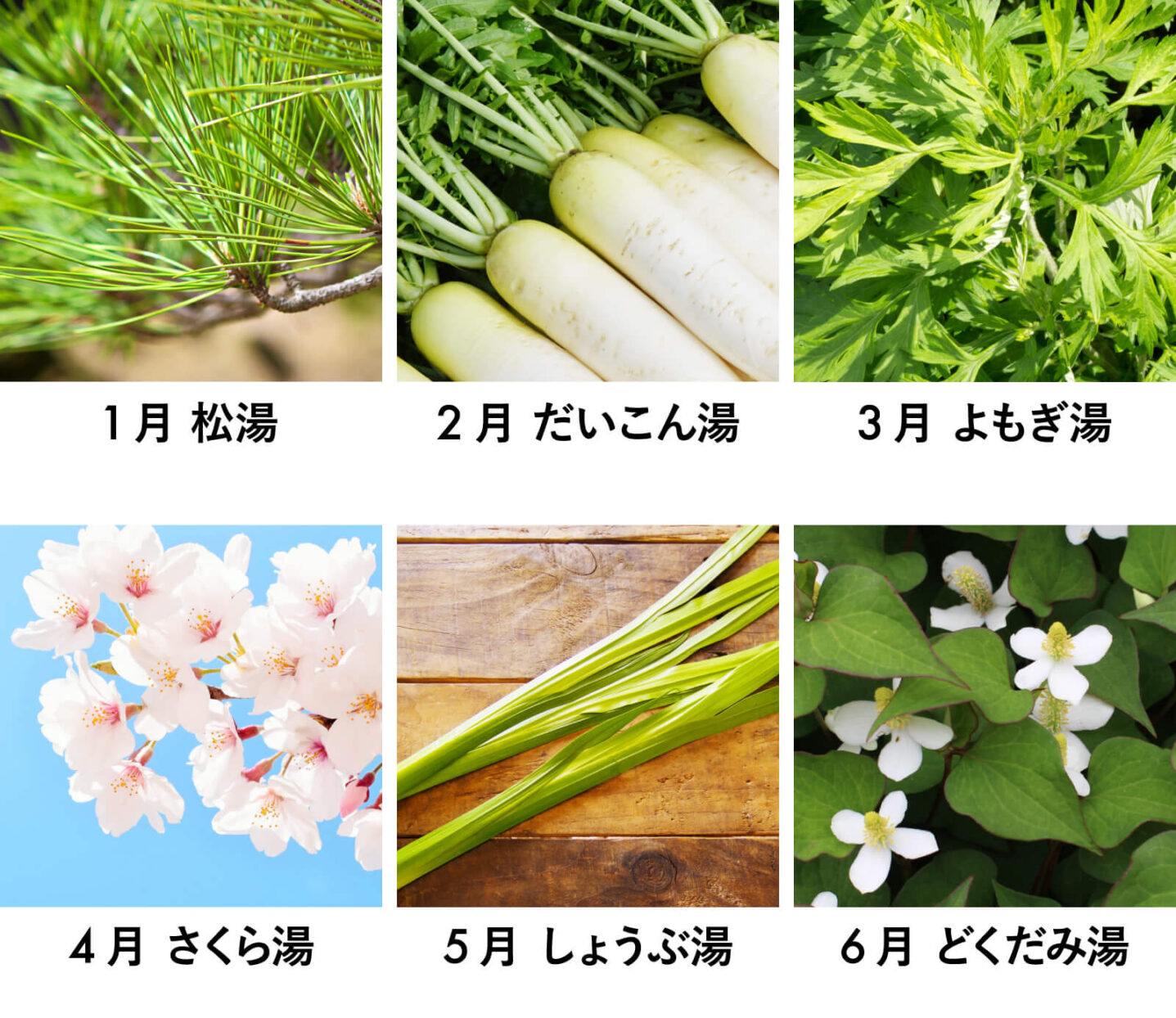 暦生活 こよみせいかつ 今日は 季節湯 よもぎ湯 のお話です 季節湯は 四季折々の旬のものを取り入れたお風呂のこと 旬の植物を湯船に浮かべ その力を全身で受けながら季節の変化を楽しむ 日本に古来から伝わる入浴文化です ひと月にひとつ