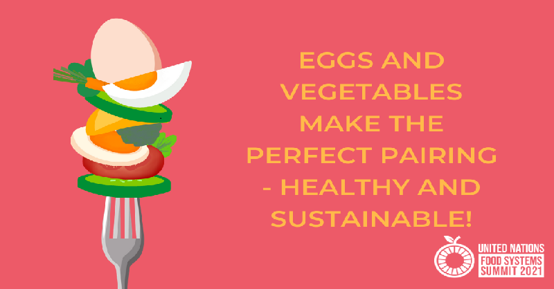 Eggs are one of the most nutrient dense food sources available to humankind and also have a low environmental impact.

Pairing eggs and plant-based foods creates #sustainable consumption and production patterns, leading to more sustainable #FoodSystems <a href="/FoodSystems/">UN Food Systems Coordination Hub</a> #UNFSS2021