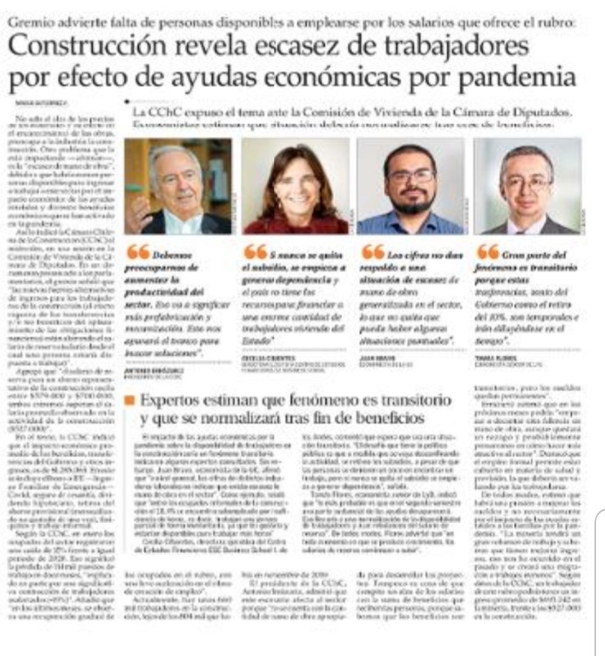 felipe bianchi tweet media