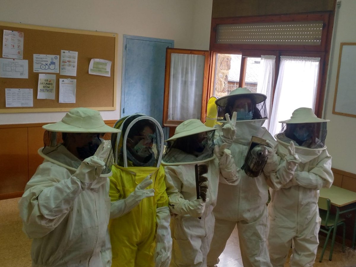 🍯🐝Classe magistral sobre la producció de mel i com treballa l'apicultor. Gràcies Tere de <a href="/melderibes/">Mel Vall de Ribes 🐝🌻</a> !! 
📝Els nens i nenes de la ZER COMTE ARNAU han pres nota.
#EnsMengemLesValls 
<a href="/Prod_Ripolles/">Producte del Ripollès</a> <a href="/CRDesenv/">CRDesenvolupament</a> <a href="/CCRipolles/">Consell Comarcal del Ripollès</a> <a href="/DiputacioGirona/">Diputació de Girona</a> <a href="/agriculturacat/">Agricultura</a> <a href="/arcaruralcat/">Associació Iniciatives Rurals Marítimes Catalunya</a>