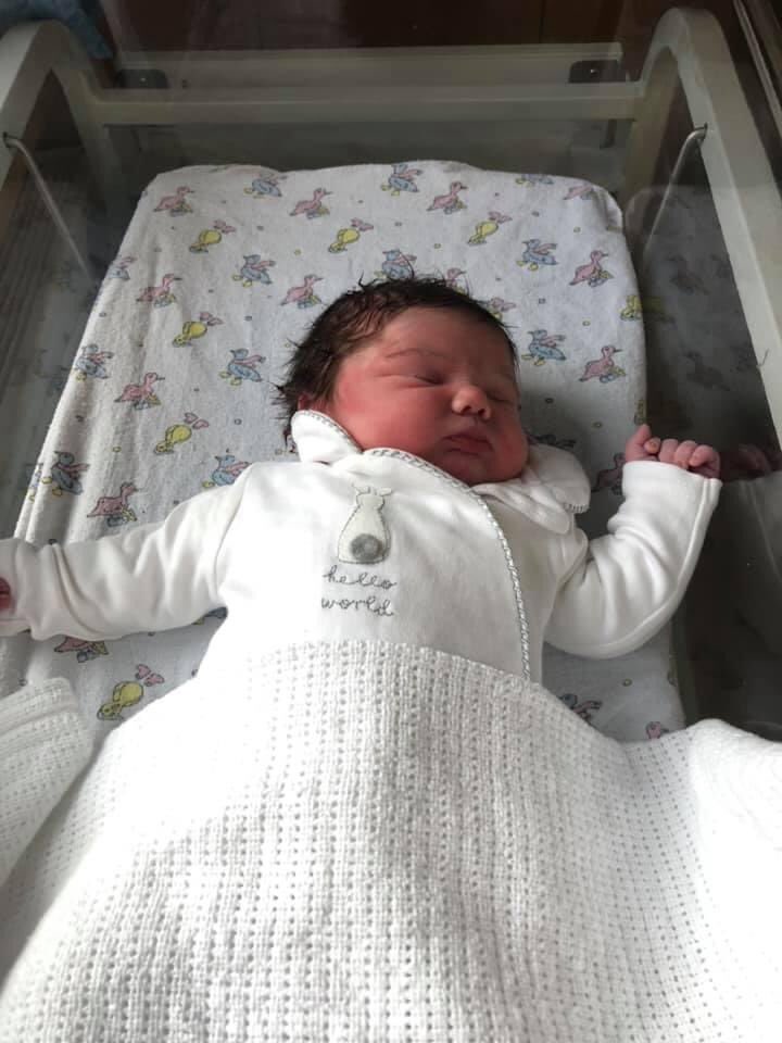 nphockeyfan's tweet photo. It’s darcy’s first birthday today. I can’t believe a year has gone by already! #HappyBirthday https://t.co/1mXd6DPIRh