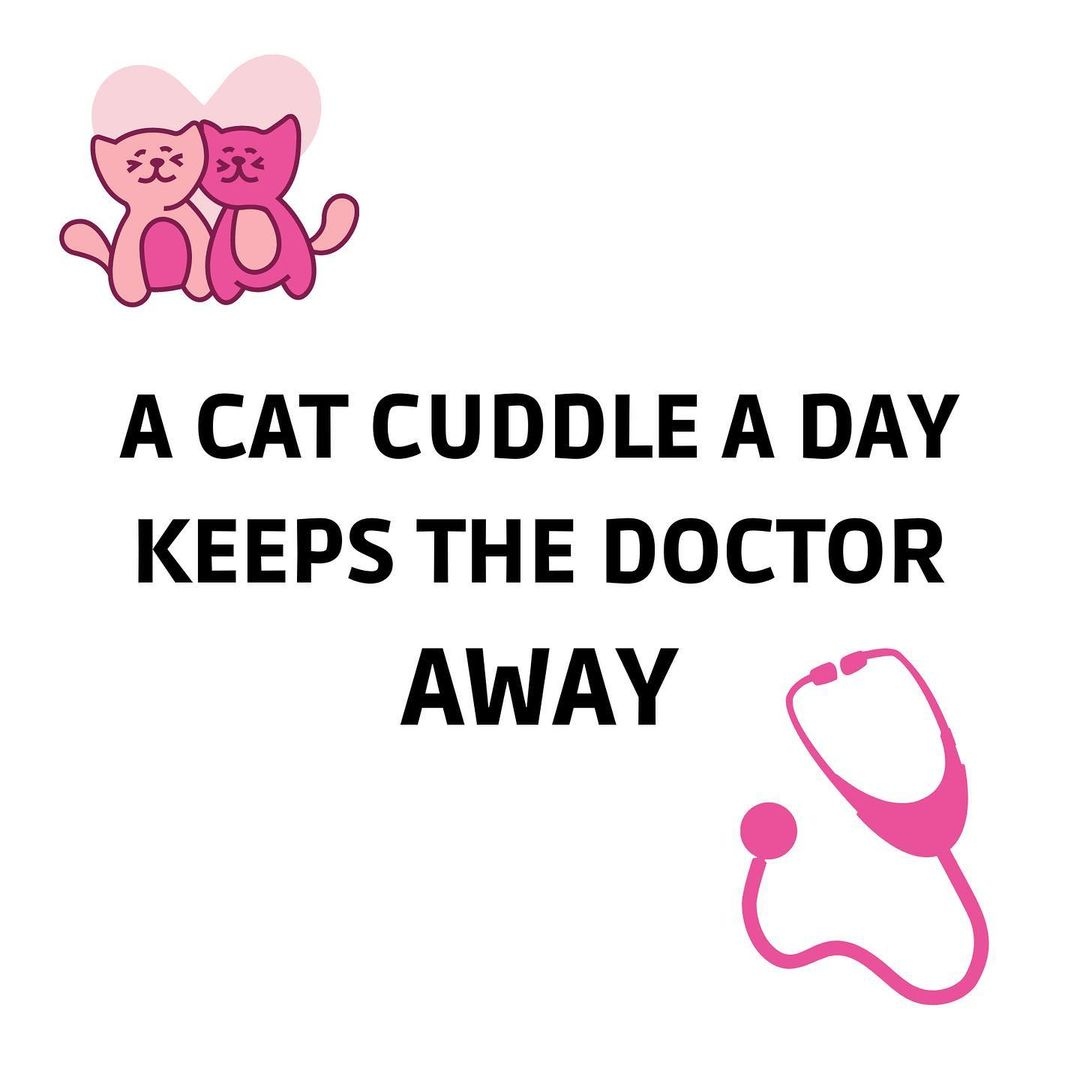 Type ❤️ if you agree :)

#funnycatphoto #funnycatsanddogs #felinefuries #felinenation #felinebeauty #kittenssleeping #kittensplay #cutecatslover #funnycatpic #funnycatpictures #funnycatface #cutecatsandkittens #cutecatphotos #cutecatsblogs #meowmeows #meowmodel #meowagram