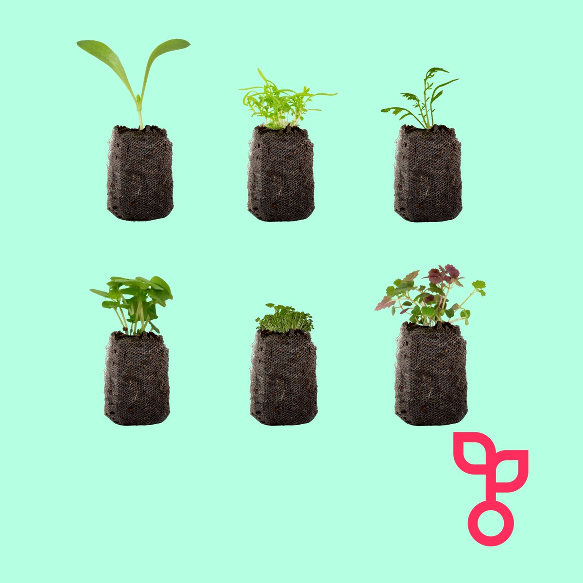 All of our produce is grown to the incredibly high standards demanded by professional chefs to you’ll always receive the freshest most flavourful ingredients!

#food #health #wellness #recipes #ingredients #london #shoplocal #verticalfarming #sustainability