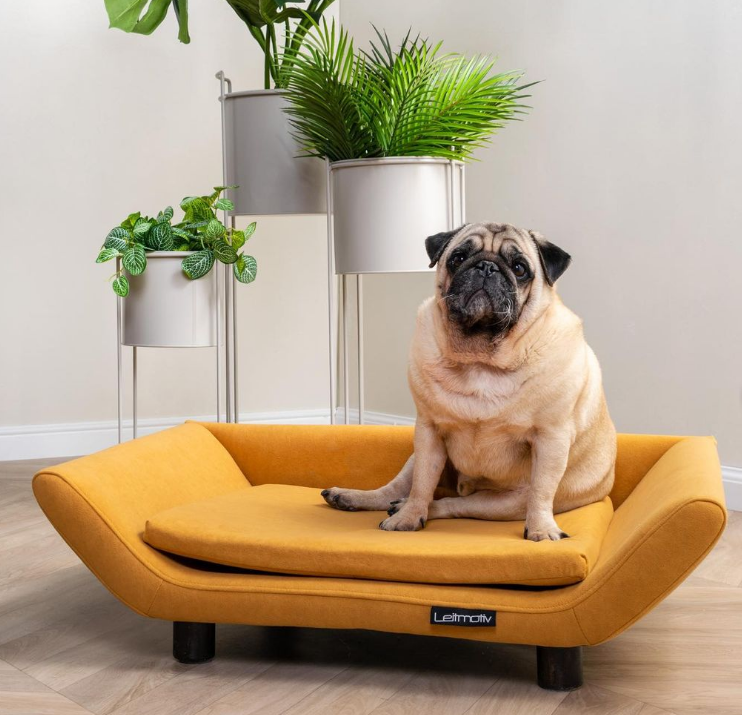 AxeswarDesign's tweet image. Ook je huisdier houdt van Netflix en chill, maar dan wél in een eigen sofa met stijl. Wat is een gewone hondenmand of kattenmand ineens zó 2020...
axeswardesign.be/nl/huisdieren-…