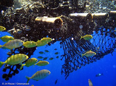 KBL_Headhunter's tweet photo. .@ZacGoldsmith you talk the talk on ocean protection, but your government just failed to protect the oceans at #IOTC. I call on you to agree a Global Ocean Treaty that can protect people, wildlife and the climate #ProtectTheOceans https://t.co/sUDI0kiXHA