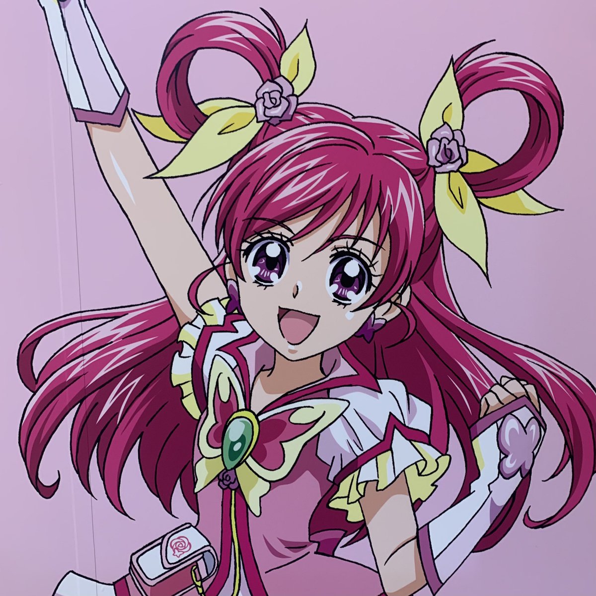 ユメカ ナウカナ Wackdiary が諸事情によりいつもよりはやく更新されたよ ゆめの憧れの プリキュア に会ってきました みんなみてくれるよね けって い T Co 2aajqpkv4p