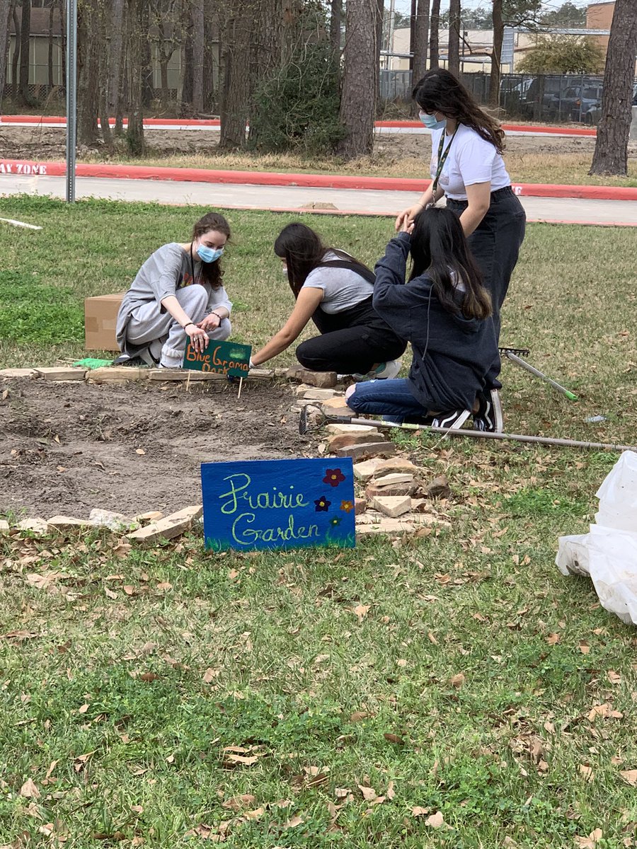 ScienceandMathT's tweet photo. Enjoyed a beautiful morning of #servicelearning @HumbleISD_QECHS.  #butterflygarden vegetable garden and #pocketprairie in progress. https://t.co/GxIWaEf715
