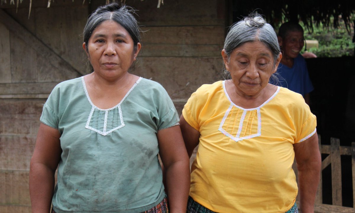 Mrs. Ansenciona Shol is a long time partner with <a href="/mayamountain/">Maya Mountain Lodge</a> She is in yellow, pictured here with her daughter-in-law. Her cacao grows in the Indian Creek village which is the Zone 1 sourcing area in Southern Toledo, Belize. #womeninchocolate #womenincacao #interdependence