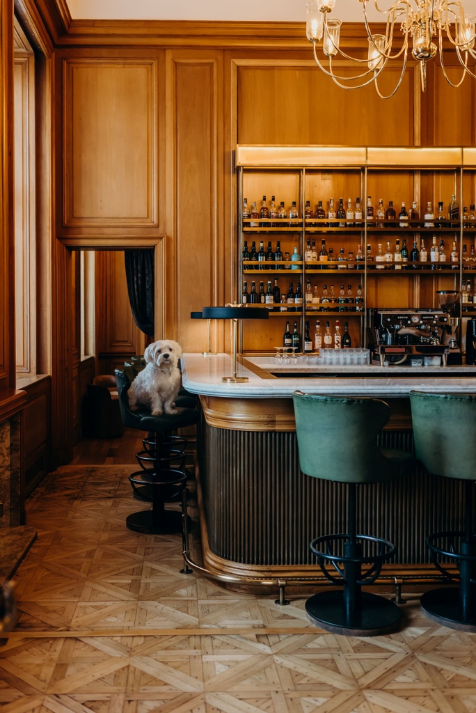 Cheval_Global's tweet image. We can&apos;t wait for Friday nights in The Register Club! 🥂

Photo Credit: @brianamoore

#ChevalCollection #Hospitality #Edinburgh