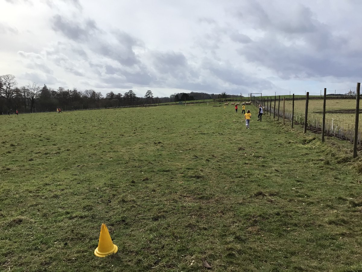 MediaWsg's tweet photo. Our Year 3 and 4 children ran through fields, woods, and even sheep this afternoon at House Cross Country! It was amazing to see such determination, enthusiasm and above all happiness during this event. And every child even ended with a brilliant sprint finish! https://t.co/wDTKqBZ0G5
