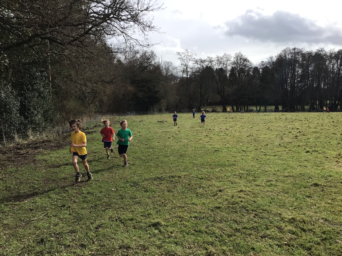 MediaWsg's tweet photo. Our Year 3 and 4 children ran through fields, woods, and even sheep this afternoon at House Cross Country! It was amazing to see such determination, enthusiasm and above all happiness during this event. And every child even ended with a brilliant sprint finish! https://t.co/wDTKqBZ0G5