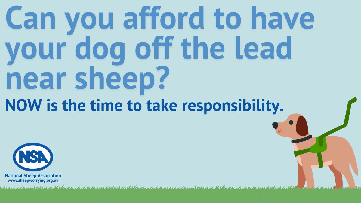 If you are out on a dog walk in the countryside this weekend, please act responsibly. Keep your dog on a lead near sheep. 

Retweet to spread the word! #TakeTheLead