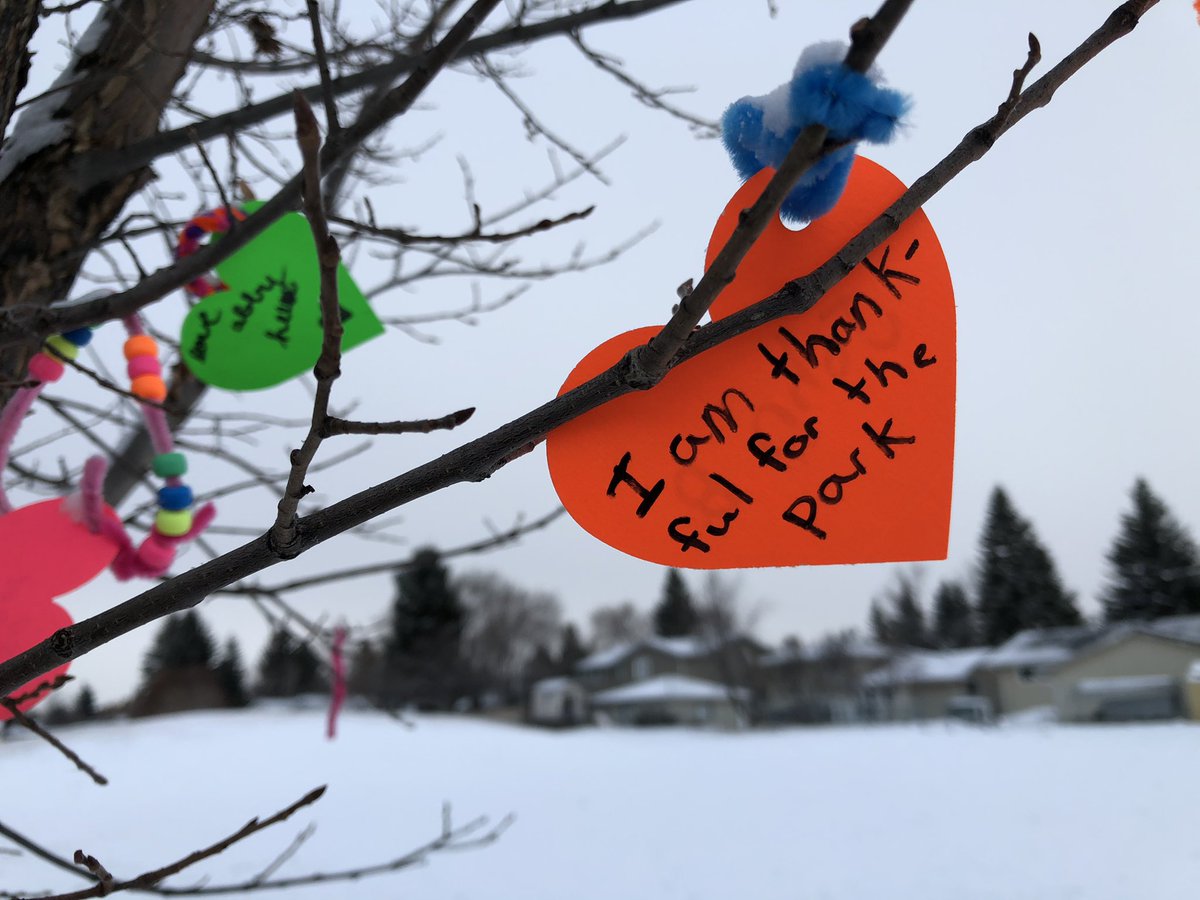 GilmoreParkShPk's tweet photo. We have a lovely tree in Gilmore Park #shpk What are you grateful for? #community #SCSocialAction #SCChooseKind https://t.co/oBjTiRJvDt
