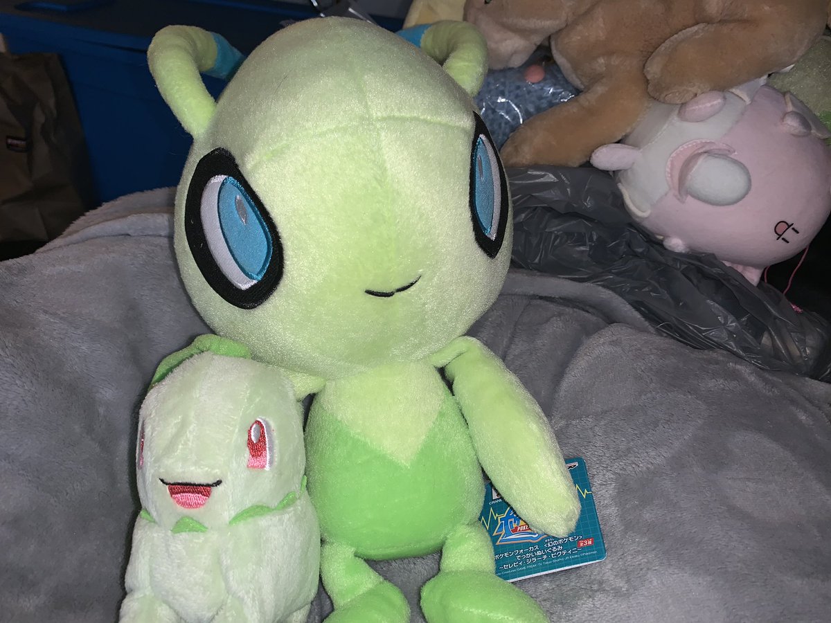 KitMorbid's tweet photo. Some friends arrived today... 💖 #ditto #bulbasaur #pokemon #celebi #chikorita #pokemonplushes #shadowlugia https://t.co/WNpRluptZy