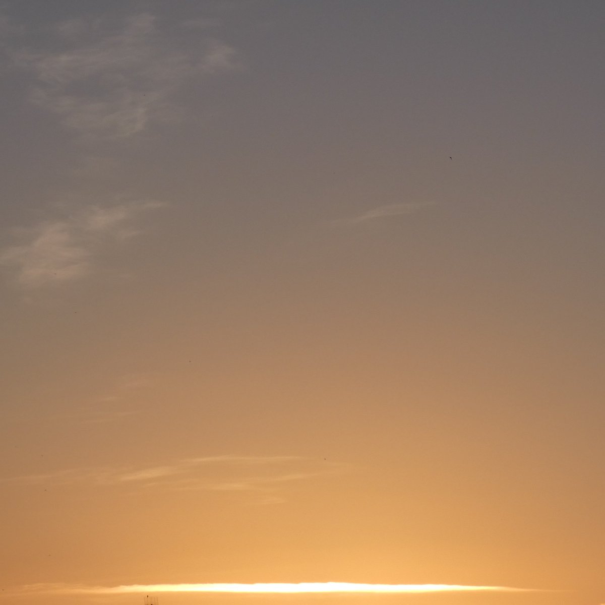 susy19711's tweet image. #sunsetlights