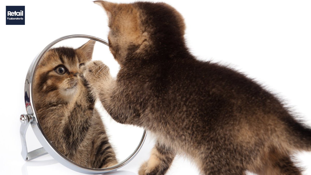 RetailLaborator's tweet image. Es mucho más importante que te conozcas a ti mismo que darte a conocer a los demás.

◻️retaillaboratorio.com