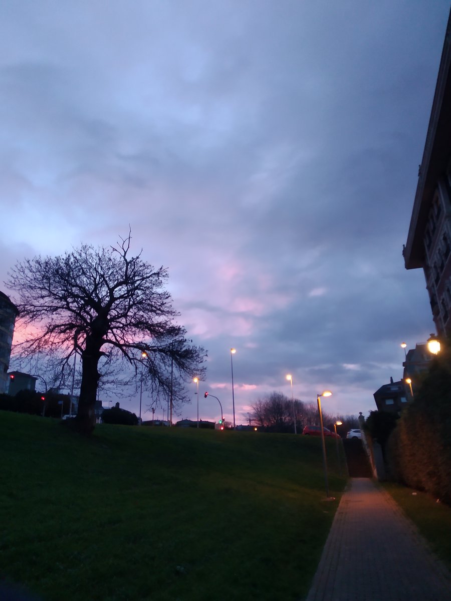 #1foto1arbore <a href="/TalentiaSummit/">Talentia Summit</a> Enchamos Santiago de árbores autóctonas!