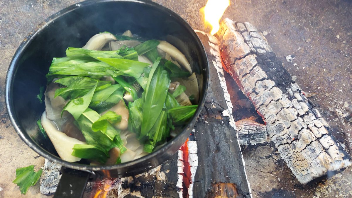 getoutmorecic's tweet photo. Brilliant start to Outdoor Futures, our new skills-based programme supporting people towards outdoor careers. We even foraged oyster mushrooms and wild garlic to cook on the campfire. Delicious! @groundwork @withinthewooduk #esfCommunityGrant #outdoorjobs #careerdevelopment https://t.co/Hs0ISH8vZ4